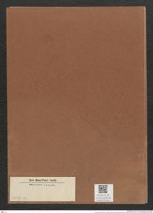 Diatomeae indet. (de-Toni-Nr.: Species 3036) Zeichnungen Sammlung Grunow Mappe 03246 (Herbarium_W_Grunow_drawings_Folder_03246)